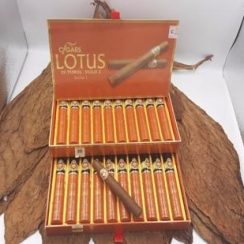 LOTUS No5- HỘP 20 ĐIẾU