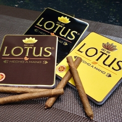 LOTUS MINI No2 – HỘP 10 ĐIẾU