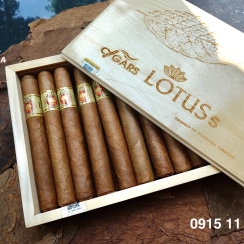 LOTUS S- HỘP 26 ĐIẾU