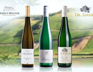 Rượu Vang Riesling Đức Có Ngọt Không? Cách Phân Loại Độ Ngọt Chuẩn Nhất