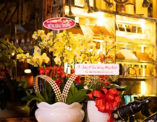 Doanh nghiệp khu đô thị Sala mua quà tặng tết 2026 ở đâu ?